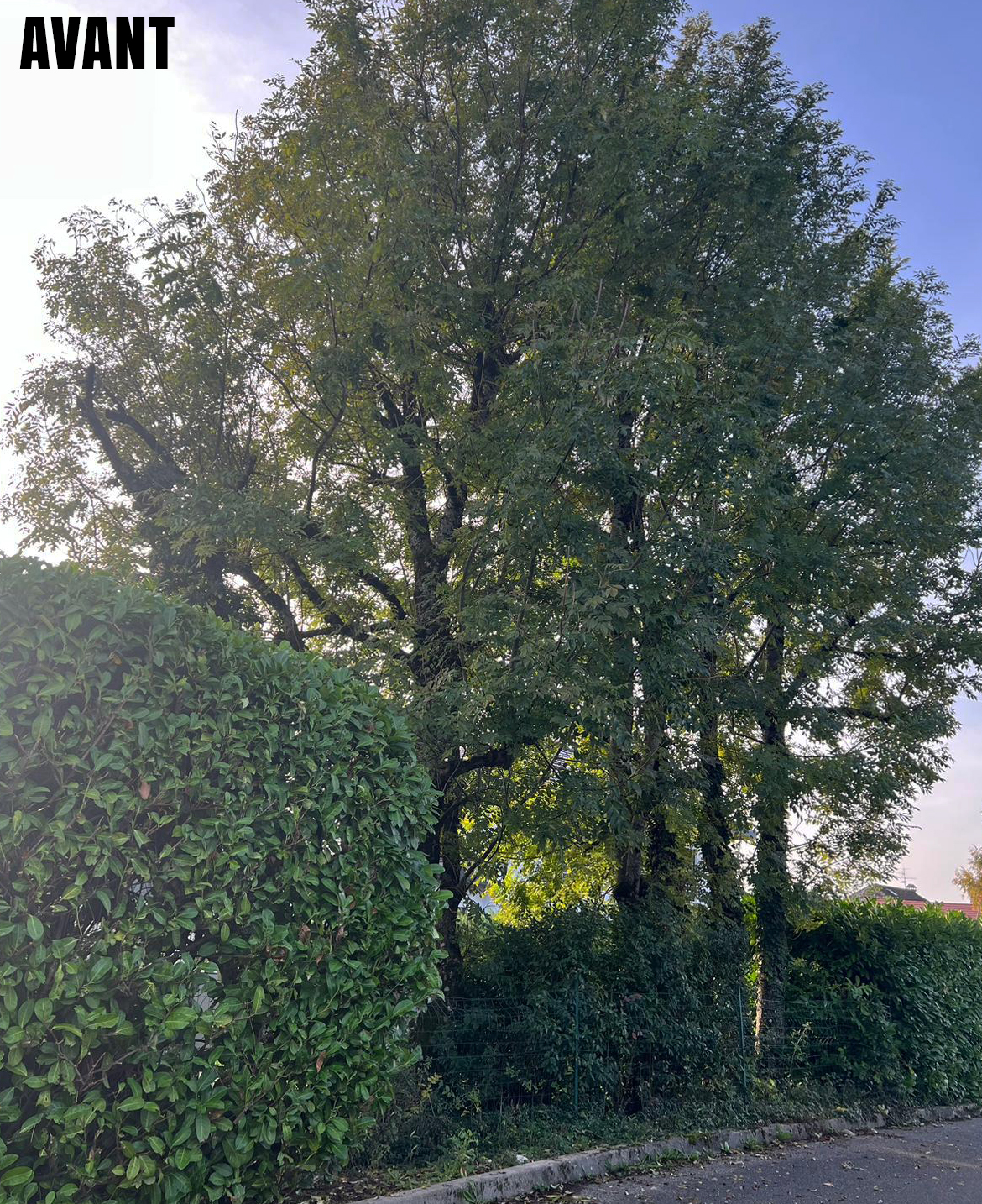entretien de jardins en Bretagne