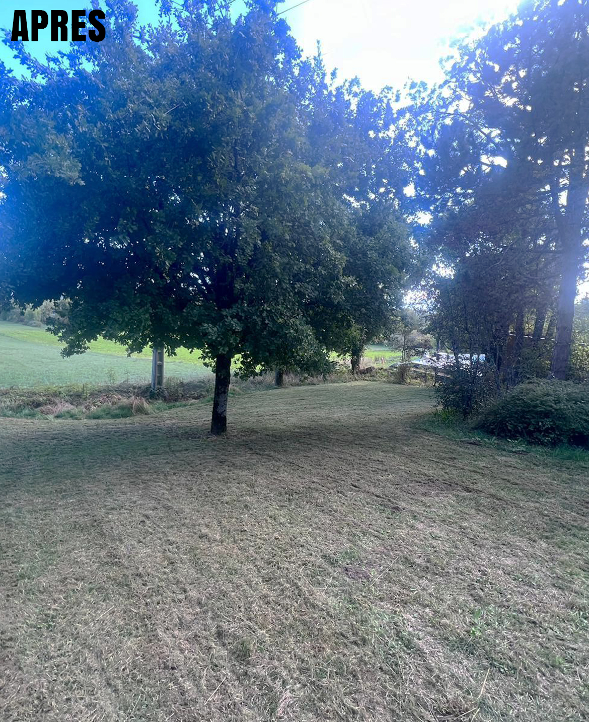 taille des haies en Nouvelle‑Aquitaine
